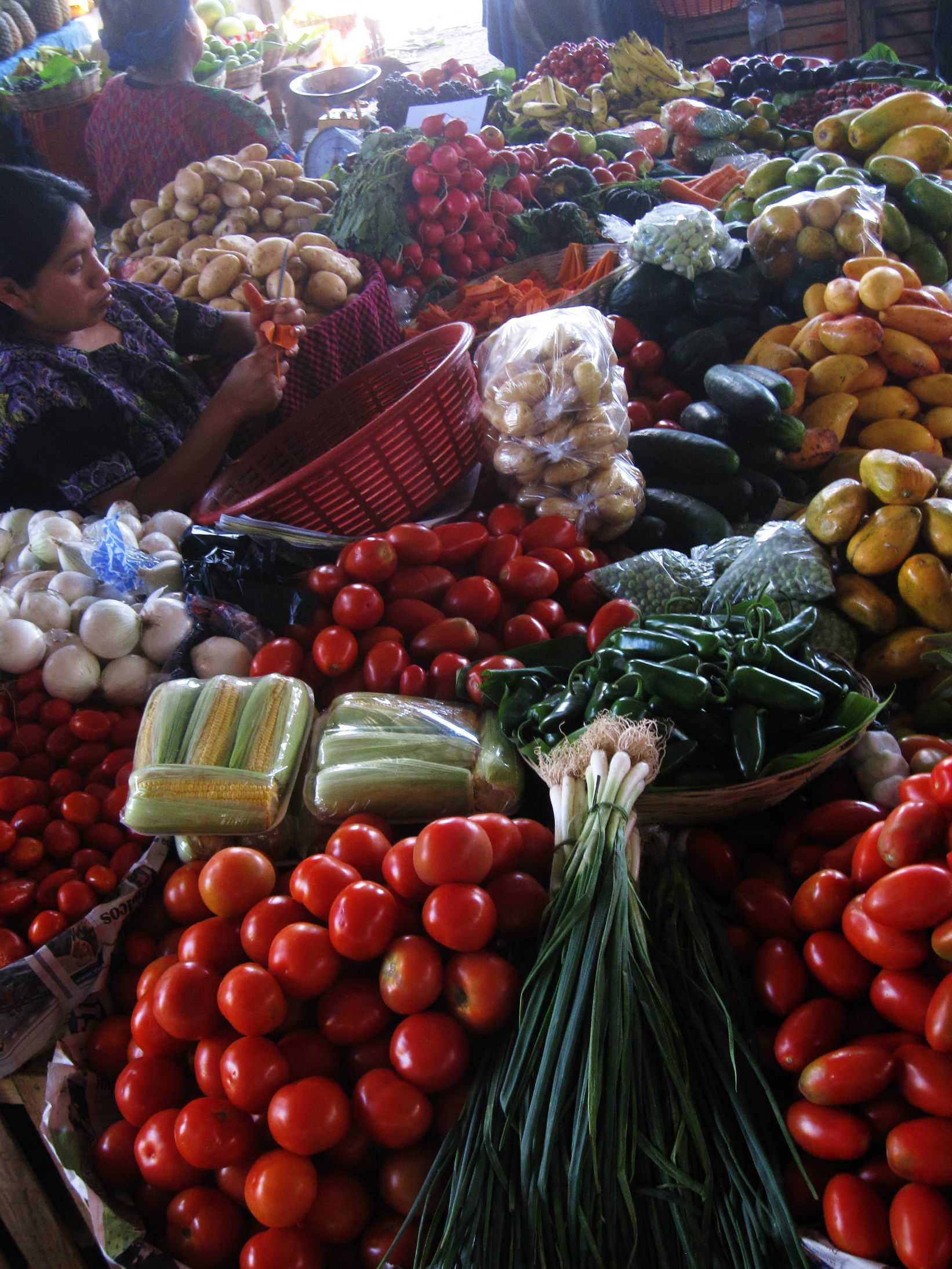 alles was das Vegetarianerherz begehrt