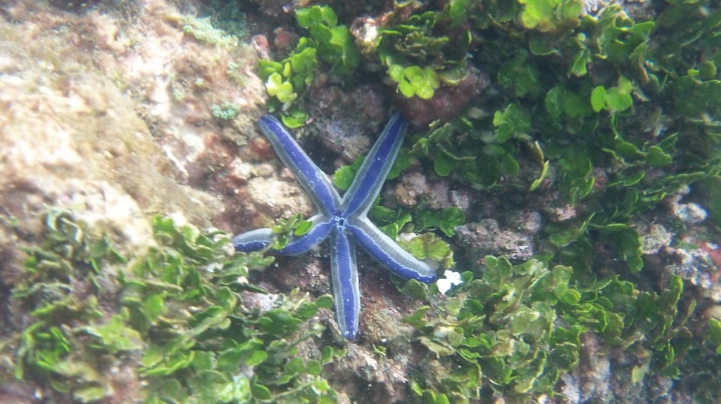 wem kommt der bekannt vor?