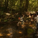 FAST hätte es geklappt FAST hätte es geklappt