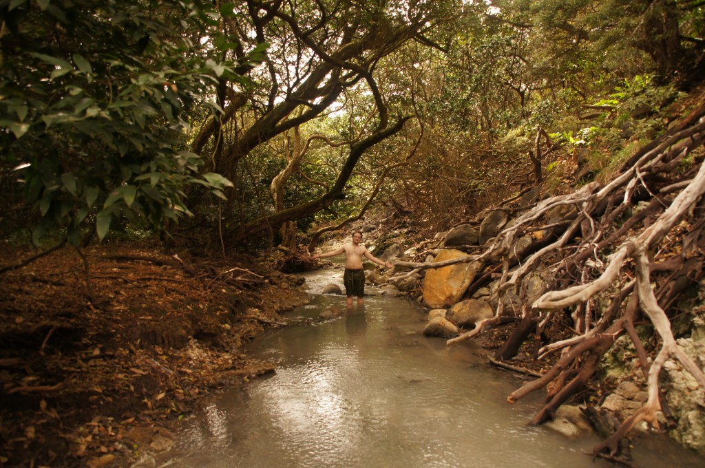 hier ist er Mensch, hier darf er's sein
