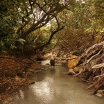 hier ist er Mensch, hier darf er's sein hier ist er Mensch, hier darf er's sein