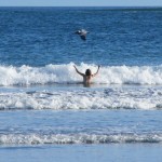 ... fängt den Vogel ... fängt den Vogel