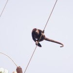 guck nicht so blöd! guck nicht so blöd!