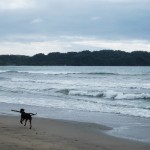 Playa de Samara Playa de Samara