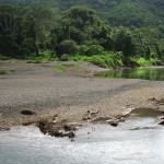 Fluss in der Nähe von Samara Fluss in der Nähe von Samara