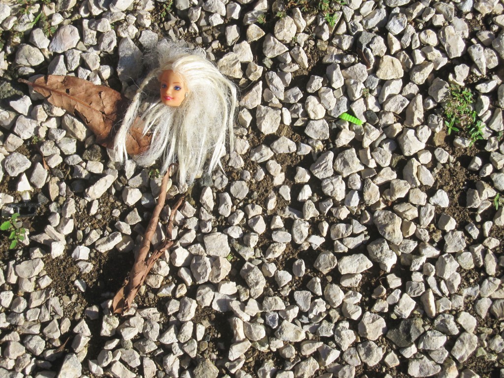 Gemetzel vor meiner Haustür