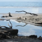 Strandidylle Strandidylle