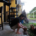 das Öffnen einer Kokusnuss das Öffnen einer Kokusnuss