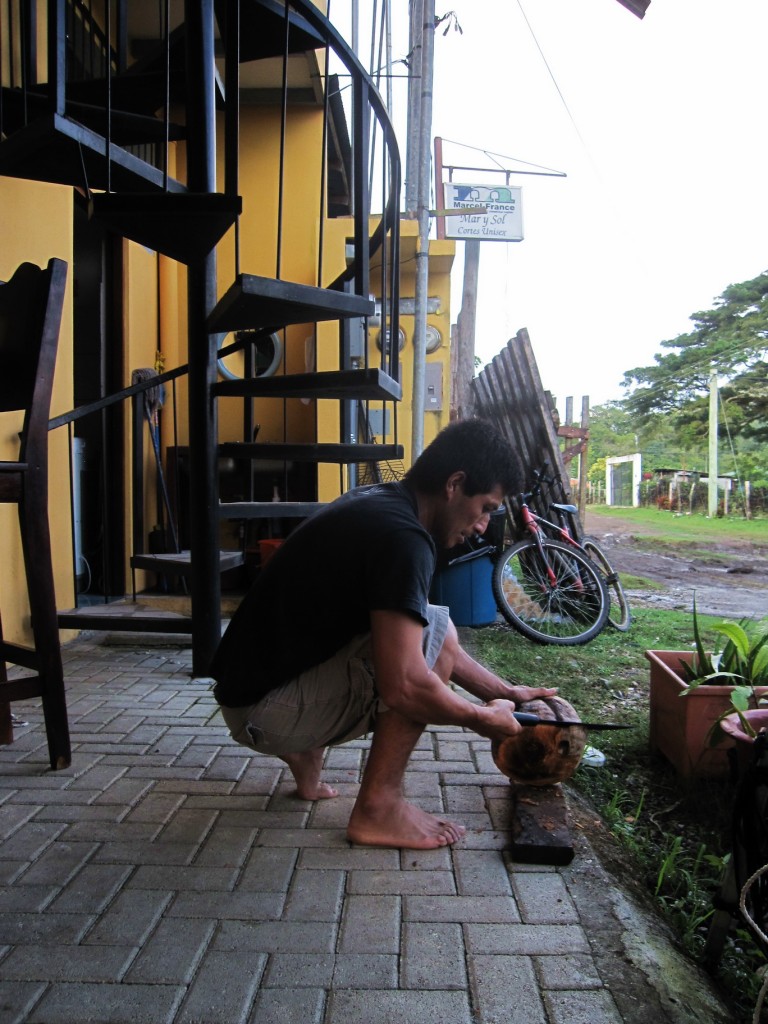 das Öffnen einer Kokusnuss