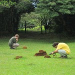 Faszinosum Ameisenhaufen Faszinosum Ameisenhaufen
