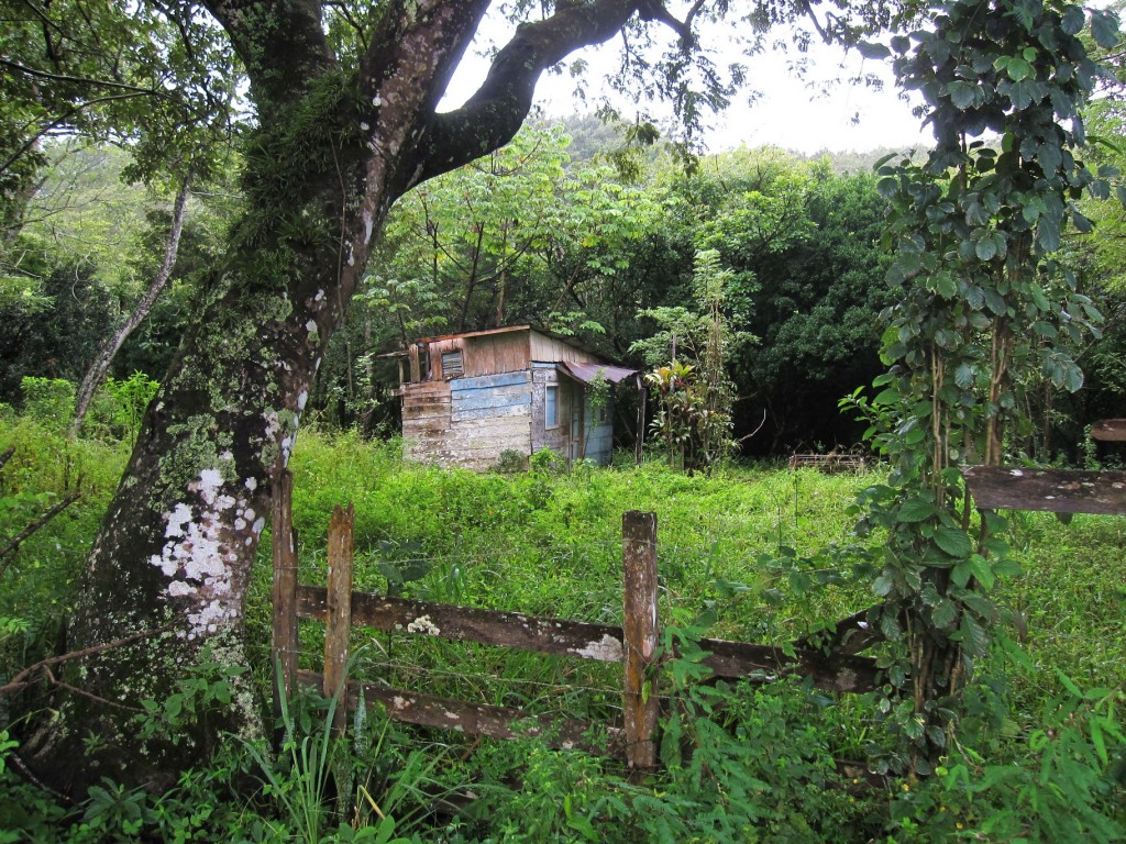 da will ich mal wohnen :)