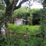 da will ich mal wohnen :) da will ich mal wohnen :)