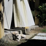 Yogi, hier mal ganz friedlich Yogi, hier mal ganz friedlich