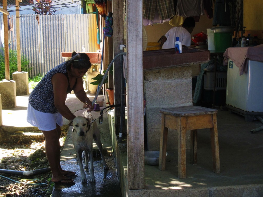 daran kommt auch der arme Haushund nicht vorbei
