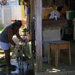alles wird hier gründlich gesäubert daran kommt auch der arme Haushund nicht vorbei