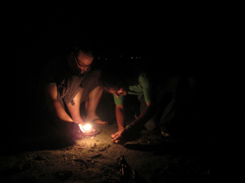 und sie rücken dem armen Einsiedlerkrebs zu Leibe