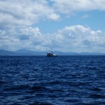 Sinfonie in blau Sinfonie in blau