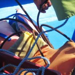 Komposition mit Schwimmweste, Anker, Fischershand und Badehose Komposition mit Schwimmweste, Anker, Fischershand und Badehose