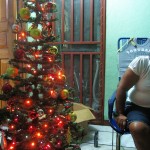 Freude im Advent Freude im Advent