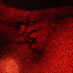 Babys von Meeresschildkröten beim Schlüpfen Babys von Meeresschildkröten beim Schlüpfen