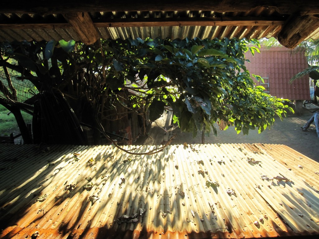 Blick aus meinem Bett im Tortugacamp