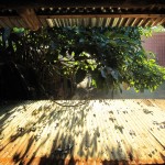 Blick aus meinem Bett im Tortugacamp Blick aus meinem Bett im Tortugacamp