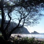 Playa Carillo Playa Carillo