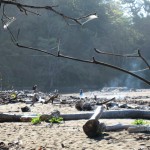 Playa Carillo 2 Playa Carillo 2