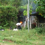 meine Nachbarn haben kein Geld für die Müllabfuhr und verbrennen jeden Morgen ihren ganzen Abfall. Über unseren Hof zieht dann eine Giftwolke, die einem den Atem nimmt. Meine Gastmama freut sich besonders dann, wenn sie gerade die frische Wäsche zum Trocknen aufgehängt hat.