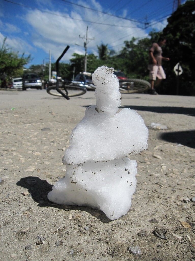 die sind nur ein wenig kleiner als ihre Artgenossen im fernen Deutschland