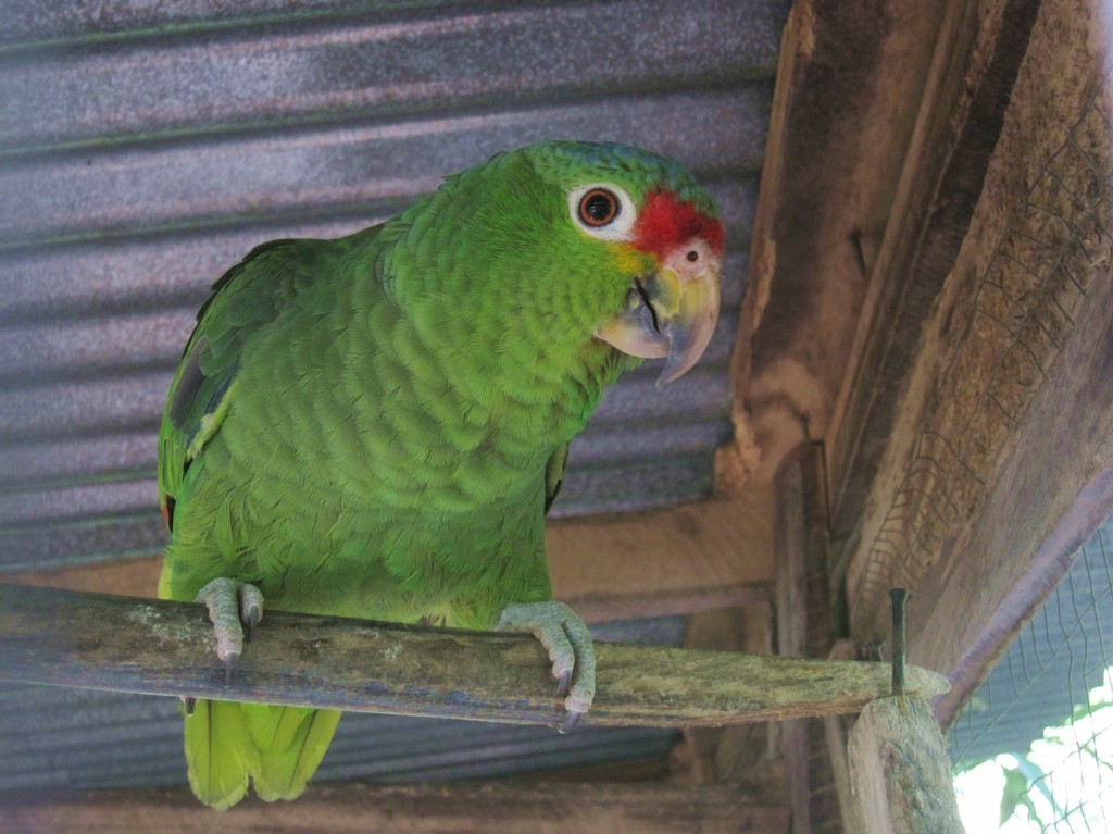 wirklich glücklich sieht er nicht aus