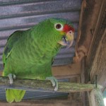 wirklich glücklich sieht er nicht aus wirklich glücklich sieht er nicht aus