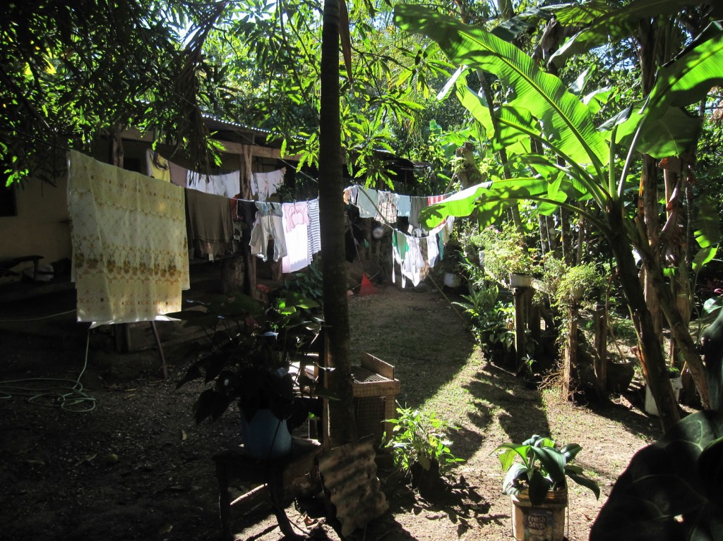 wunderschön idyllisch gelegen, umgeben von grünenden Bananenstauden