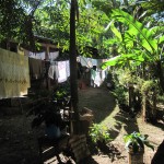 Das Haus von Martha, der Mutter meines Gastvaters wunderschön idyllisch gelegen, umgeben von grünenden Bananenstauden