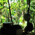 Kochstelle Kochstelle