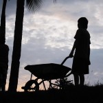 Kinder ernten Pipas Kinder ernten Pipas