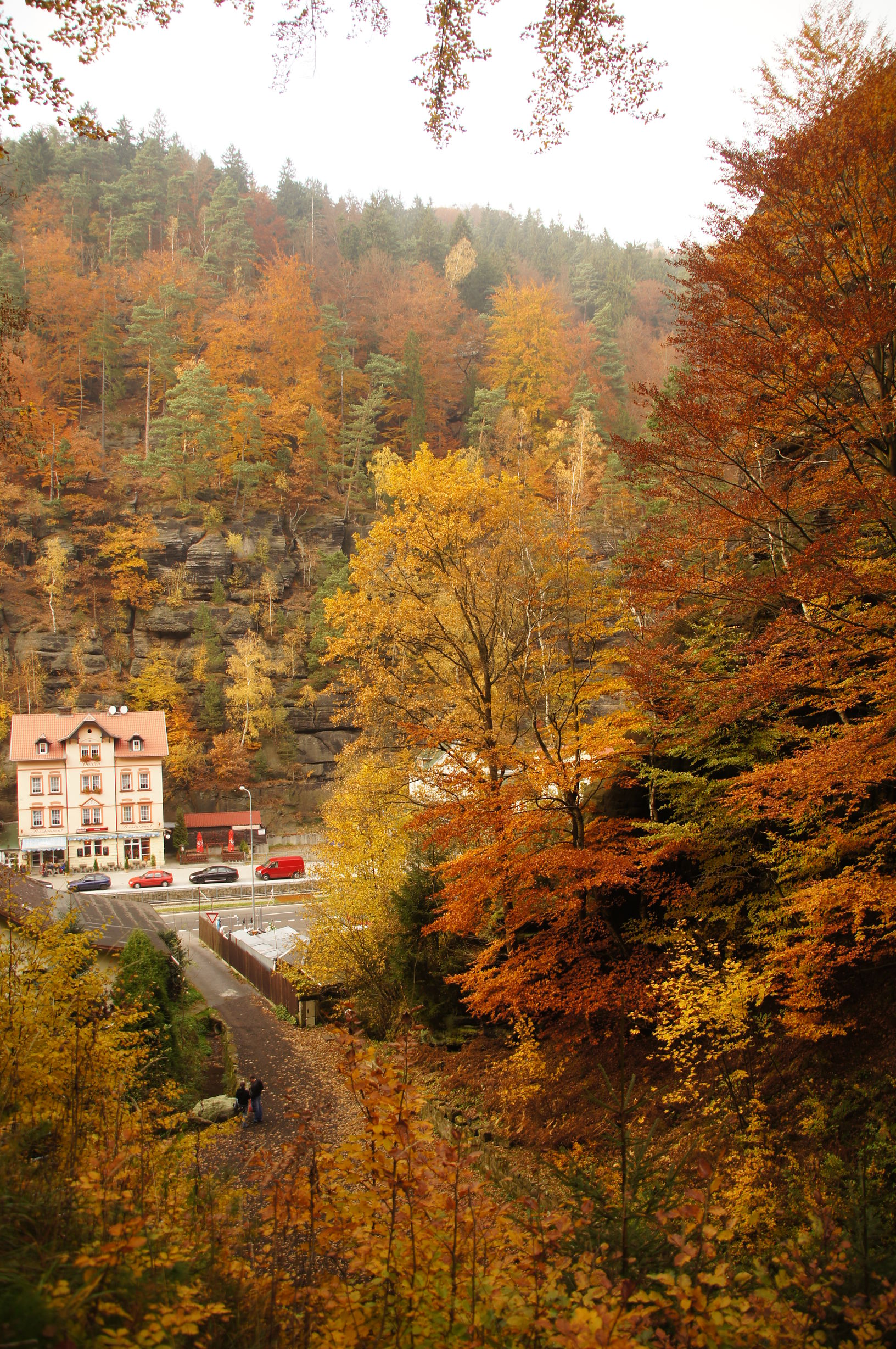 Herbst im Elbsandsteingebirge