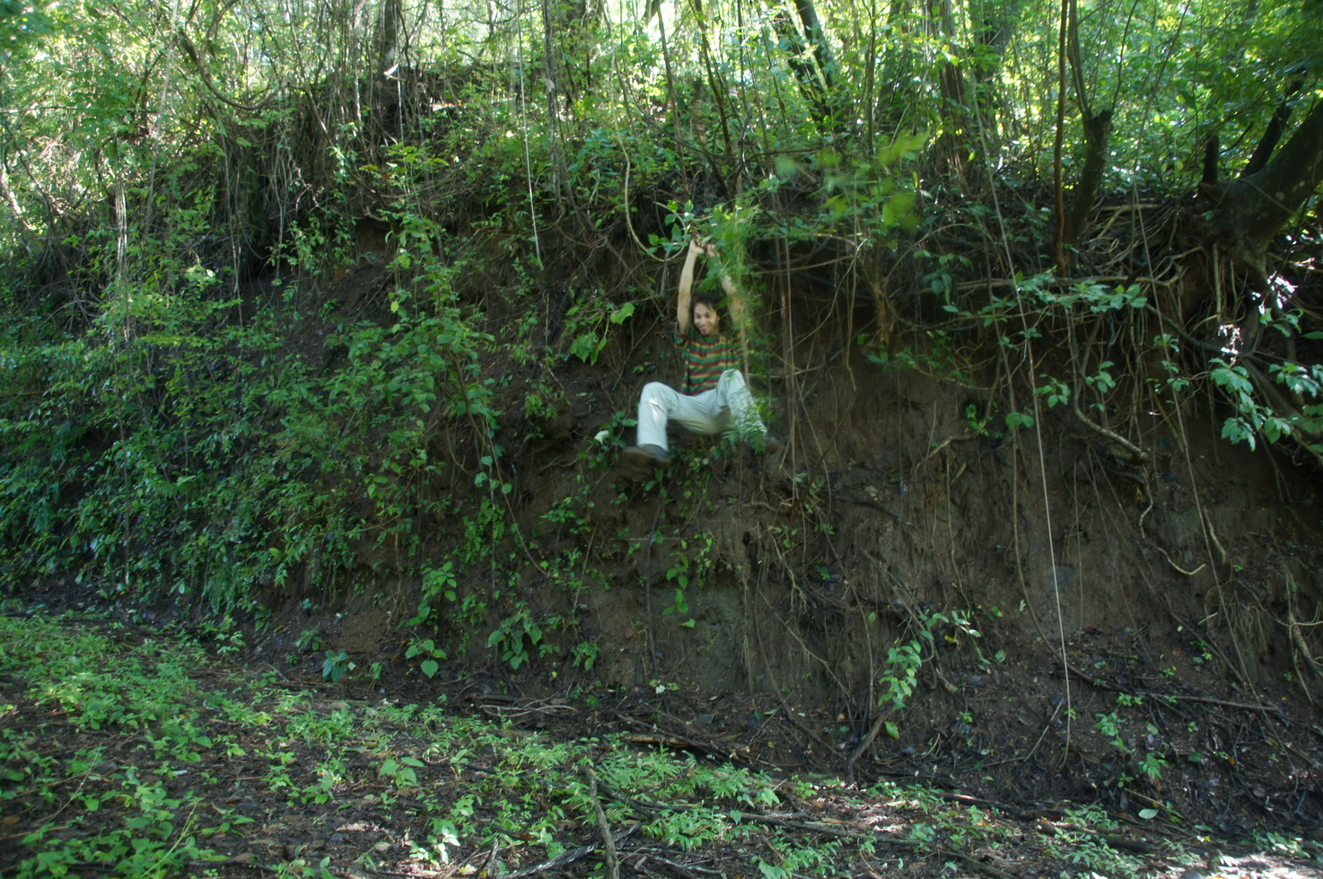 endlich zurückgekehrt: Barzan ;)